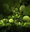 Abstract green balls background