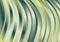 Abstract Green and Beige Curved Stripes Gradient Background