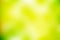 Abstract green blurred background, Nature gradient backdrop