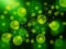 Abstract green bokeh background