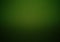 Abstract green carbon fiber textured material design