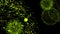 Abstract green fireworks, particle explosion effect, seamless loop. Animation. Carnival, festival, bright celebration