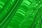 Abstract green foliage textured background