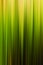 Abstract green gradient background of multicolored lines