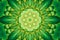 Abstract green greenery mandala kaleidoscope background pattern