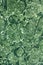 Abstract green grungy pattern