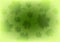 Abstract green leaves shiny summer background