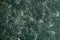 Abstract green marble background with white veins.