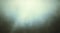 Abstract green misty background,