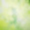 Abstract green nature blurred background with bright sunlight, flare and bokeh effect, blurry gradient backdrop for design element