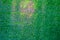 Abstract green shimmering textured background