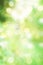 Abstract green spring nature background