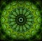 Abstract greenery pattern, palm green leaves with kaleidoscope effect.