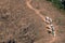 Abstract Groups of Porter or Sherpas while carrying the baggage of trekking up to the top of Doi Monjong the mountain in