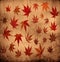 Abstract grunge autumn background with leaves