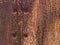 Abstract Grunge Wall Textured Rusty Brown