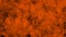 Abstract Haloween background. Grunge orange backgrounds .