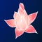 Abstract hand drawn lotus flower. Vector illustration. Outline sketch. Top view