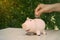 Abstract hand putting the coin in pig piggy bank on desk Ideas for earning a business income and saving for retirement planning