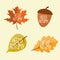 Abstract Hello Autumn Background with Falling Leaves, Rowan and Acorn. Vector Illustration