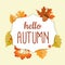 Abstract Hello Autumn Background with Falling Leaves, Rowan and Acorn. Vector Illustration