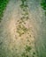 Abstract high contrast close-up of rocky gravel driveway road tire imprint in brown sand with grass areas in background