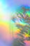 Abstract holographic shadow branch. Blurred rainbow tree silhouette overlay background