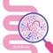 Abstract human intestine and magnifier. Gut microbiome concept. SIBO, leaky gut syndrome and candida growth. Vector flat