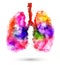 Abstract human lungs with multicolored polygon on white