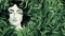 Abstract Illusionism: Woman In Green Leaves With Black Hair