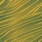 Abstract illustration background of straw.
