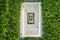 Abstract image Architecture of tunnel of white wall covered with green ivy.