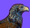 Abstract image of an eagle on a purple background