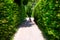 Abstract image with zoom effect of a bicycle standing at the end of a densely overgrown green hollow path, central perspective