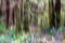 Abstract, impressionist-like image of mossy rainforest