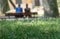 Abstract intentionally blurred image of a couple on a bench from behind with the green sharply focused grass in the foreground
