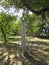 Abstract iron sculpture at Hasdeu Castle