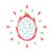 Abstract juicy pitahaya icon with splash on white background - Vector