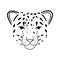 Abstract jungle animal snow leopard head