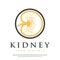 Abstract kidney shape vector logo