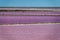 Abstract landscape of pink salt pans at Salin de Giraud saltworks in the Camargue in Provence, France