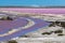 Abstract landscape of pink salt pans at Salin de Giraud saltworks in the Camargue in Provence, France