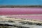 Abstract landscape of pink salt pans at Salin de Giraud saltworks in the Camargue in Provence South of France