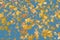 Abstract leaves pattern in yellow, orange, blue hues with an autumnal feel