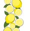 Abstract Lemon Natural Background Vector Illustration