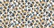 Abstract leopard pattern design with repeating print