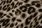 Abstract leopard print fabric background