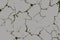 Abstract light gray crack black overlay grunge texture with halftone distressed effect pattern