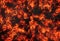 Abstract light orange blaze fire flame glitter vintage particles texture with fire spark pattern on dark