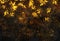 Abstract light yellow blaze fire flame glitter vintage particles texture with fire spark pattern on dark
